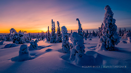 Blaue Stunde in Lappland