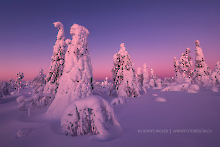Blaue Stunde in Lappland