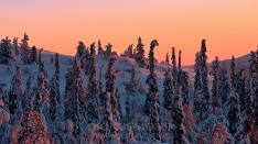 Finnland Wintertraum_2