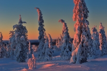 Finnland Wintertraum_4