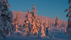 Finnland Wintertraum_5