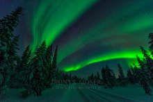 Polarlicht in Finnland