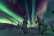 Polarlicht in Lappland