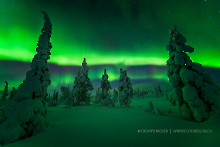 Polarlicht in Lappland