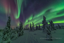 Polarlicht in Lappland