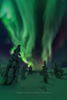 Polarlicht in Lappland