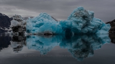 Blauer Eisberg im Scoresby Sund