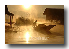 Ruderer im Morgennebel