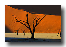 Deadvlei