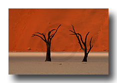 Deadvlei