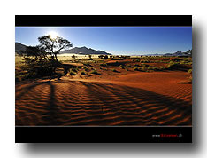 Wüste Namib